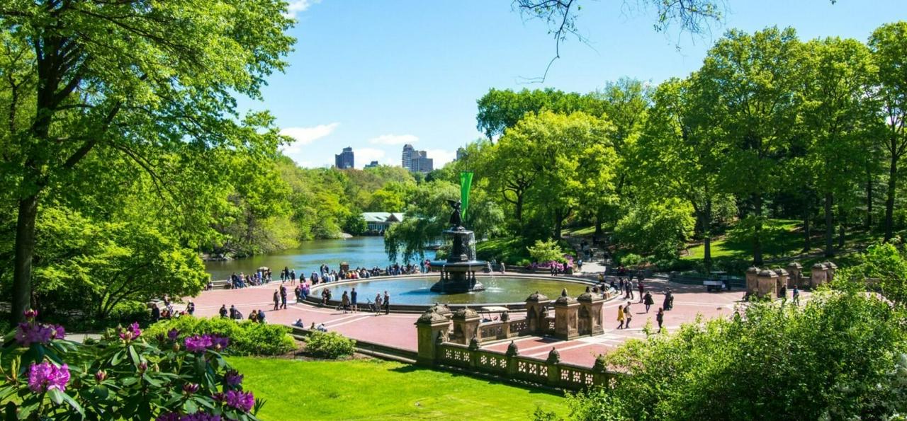 Electric bike rentals in Central Park - Photo 4