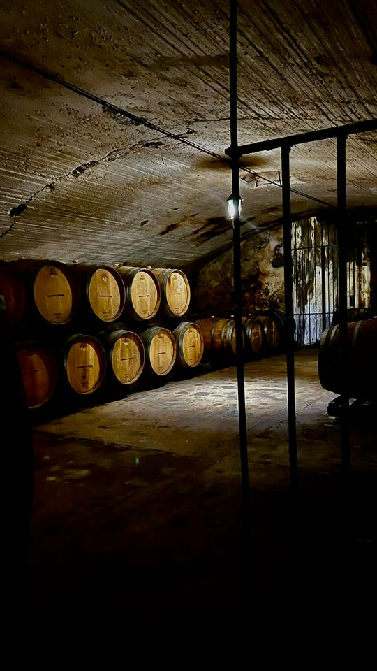 DISCOVERING TWO WINERIES - DARDANELLI FAMILY AND FALLABRINO - Photo 4