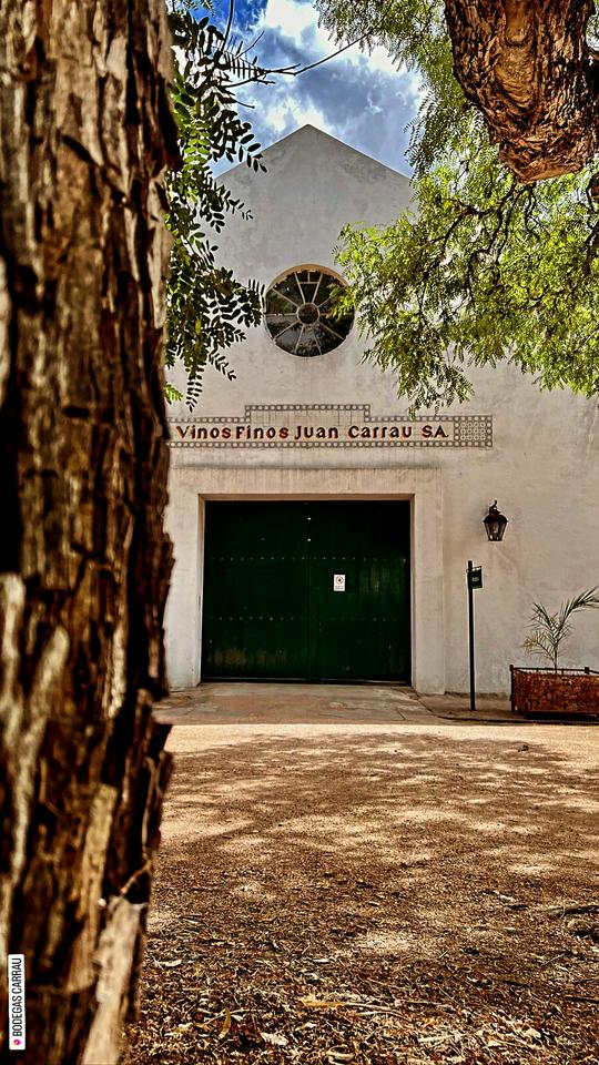 DISCOVERING TWO WINERIES - DARDANELLI FAMILY AND FALLABRINO - Photo 5