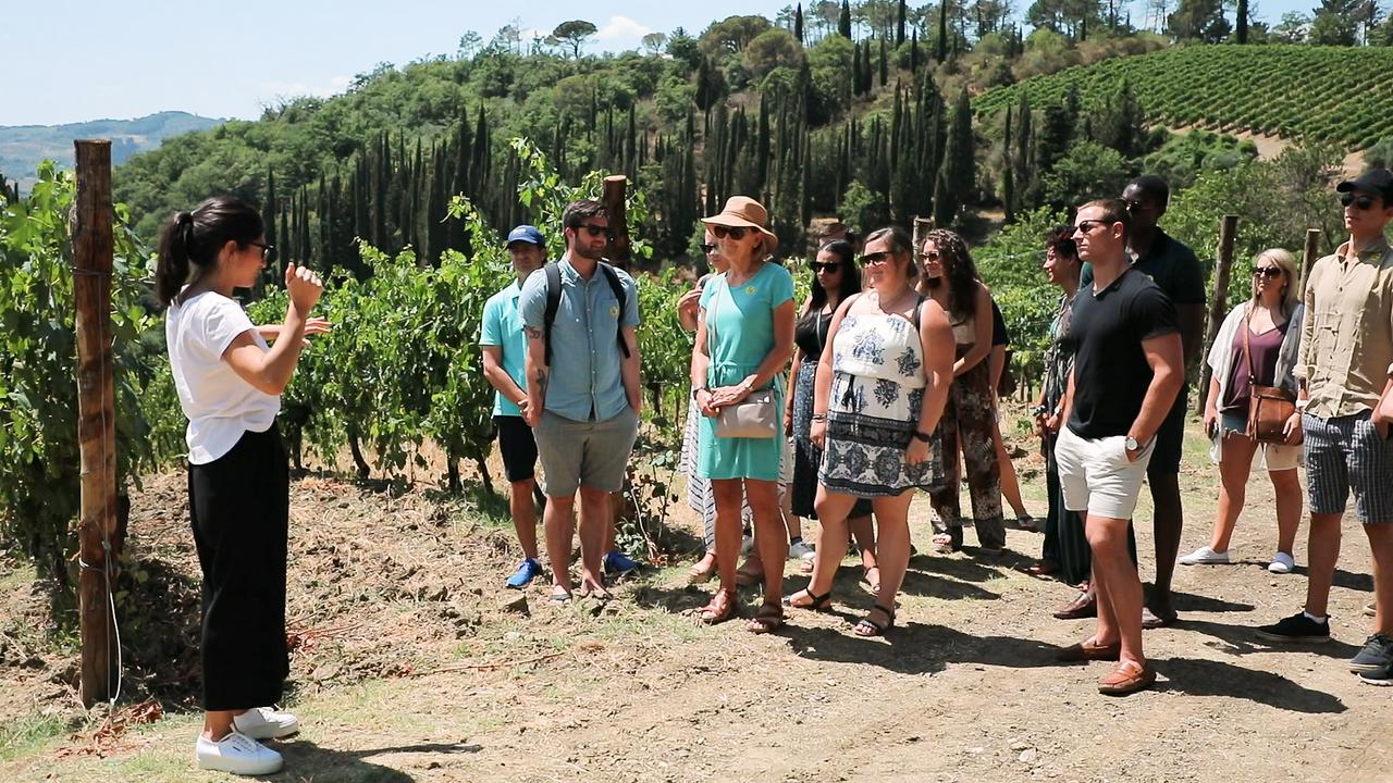 Unique Chianti Experience - Wine and Tasting in the Morning - Photo 2