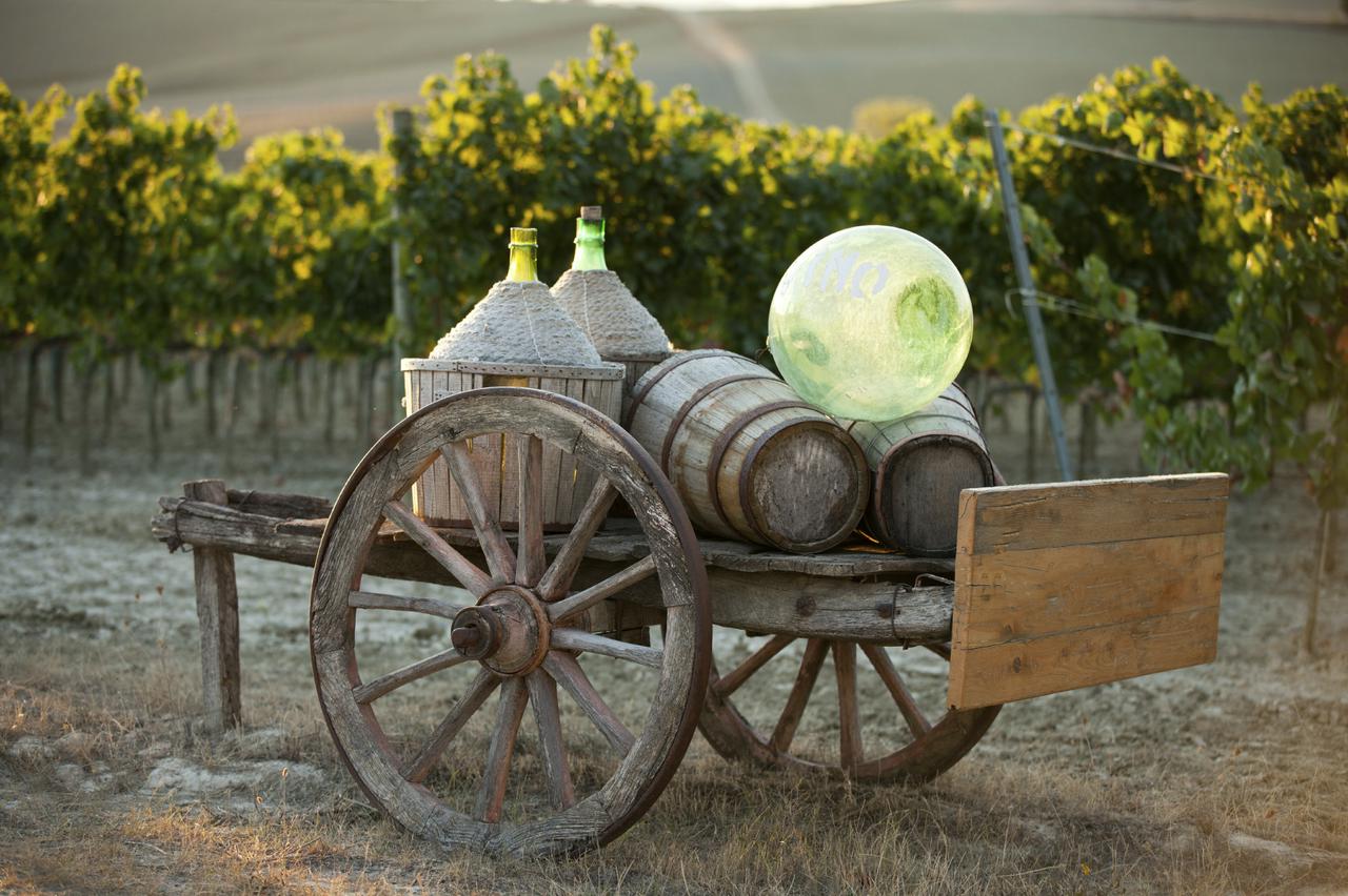 The essence of Tuscany: Chianti Classico, Montalcino, Montepulciano, Florence tour with transfer - Photo 2