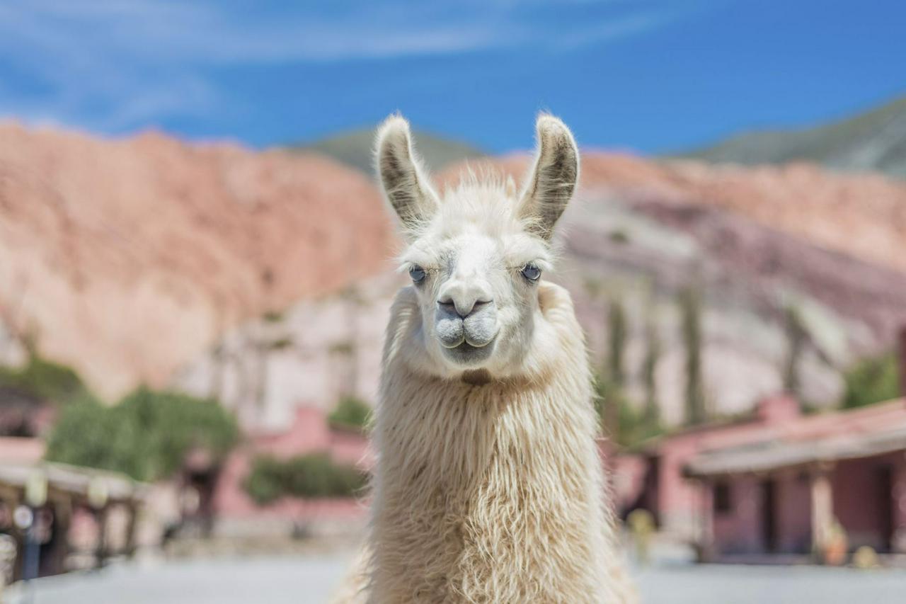 Iruya por Humahuaca de Jujuy - Photo 11