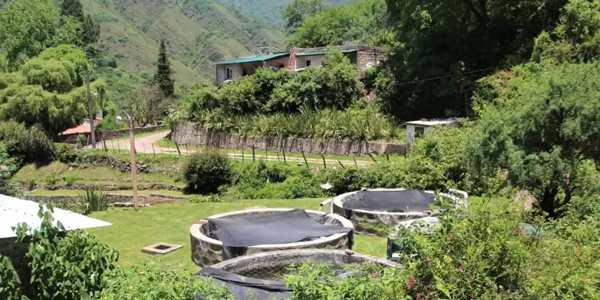 Lagoa Yala e fontes termais Reyes de Jujuy - Photo 3