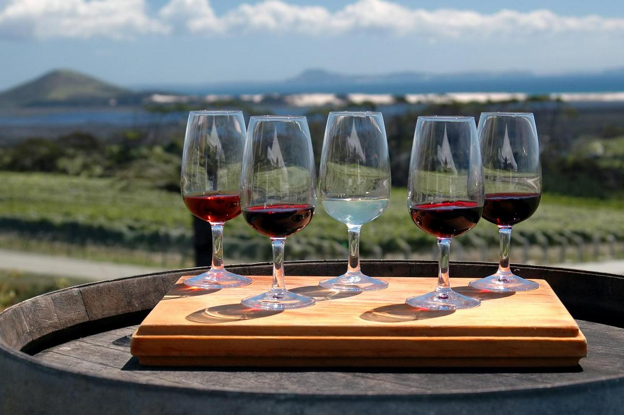 Romanian Wine Tasting Experience from Bucharest - Photo 2
