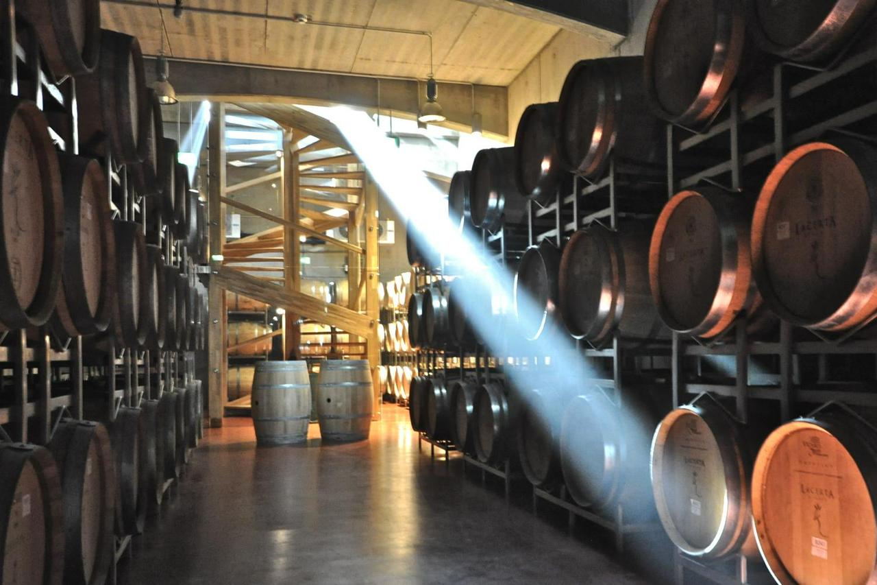 Romanian Wine Tasting Experience from Bucharest - Photo 3