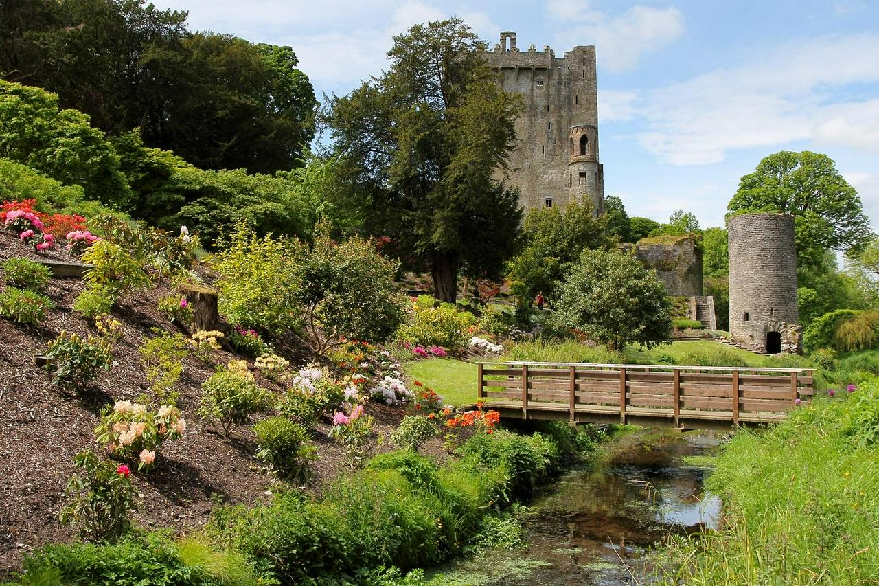 Blarney Castle and Cork Day Trip - Photo 4