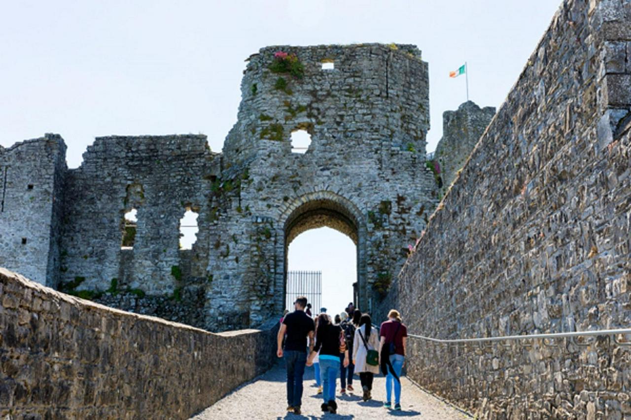 Full-Day Tour to the Celtic Boyne Valley - Photo 4
