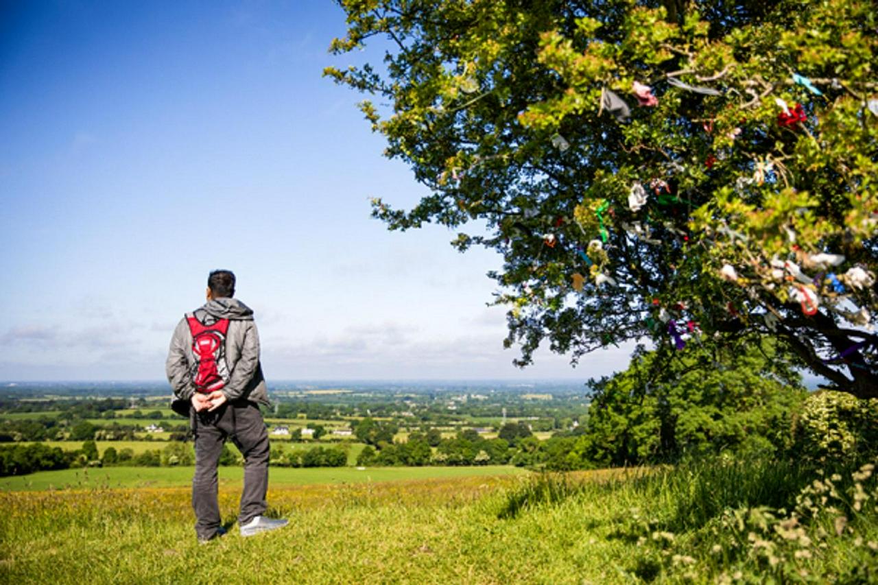 Full-Day Tour to the Celtic Boyne Valley - Photo 5