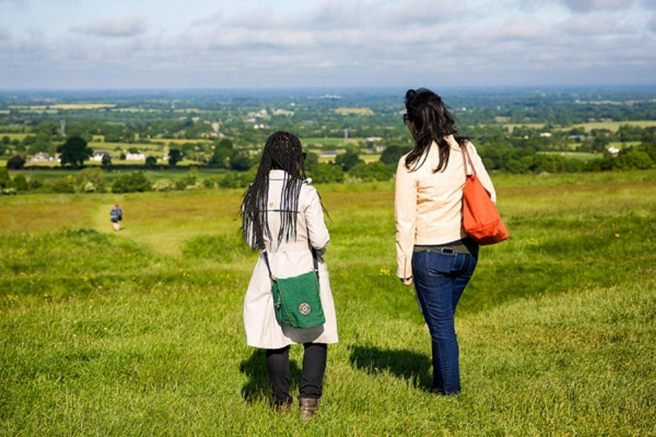 Full-Day Tour to the Celtic Boyne Valley - Photo 7