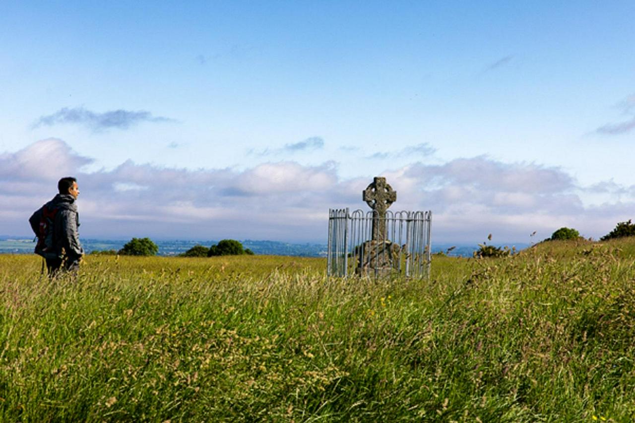 Full-Day Tour to the Celtic Boyne Valley - Photo 10