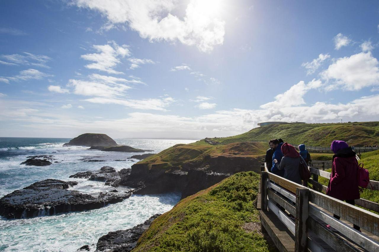 Excursão à vida selvagem em Phillip Island - Photo 2