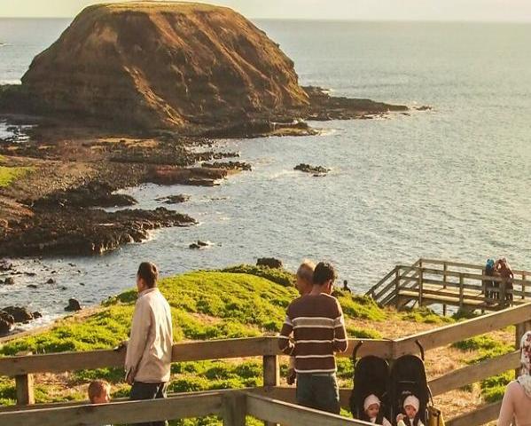 Excursão à vida selvagem em Phillip Island - Photo 6