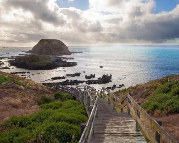 Excursão à vida selvagem em Phillip Island - Photo 7