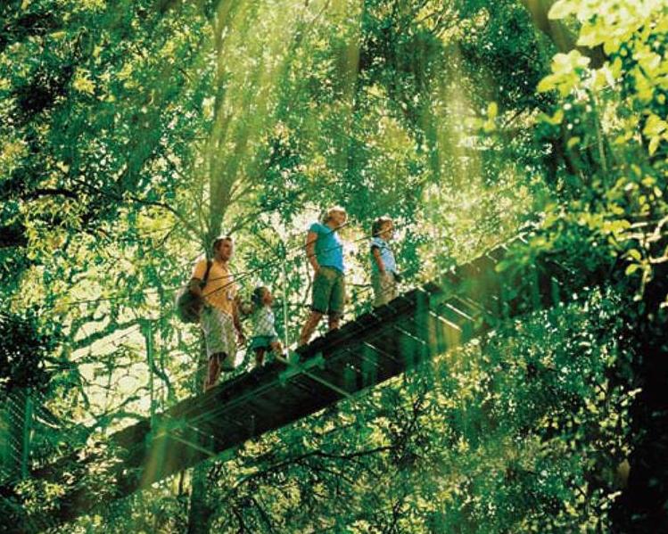 O Reillys and Lamington National Park - Photo 3