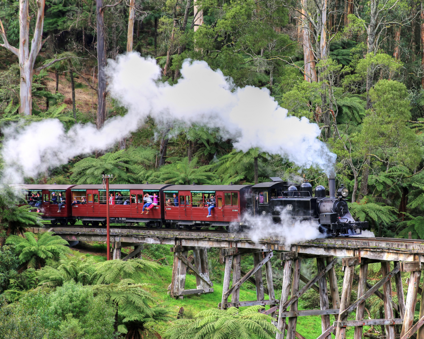 Puffing Billy, Santuário Healesville e Chocolaterie - Photo 6