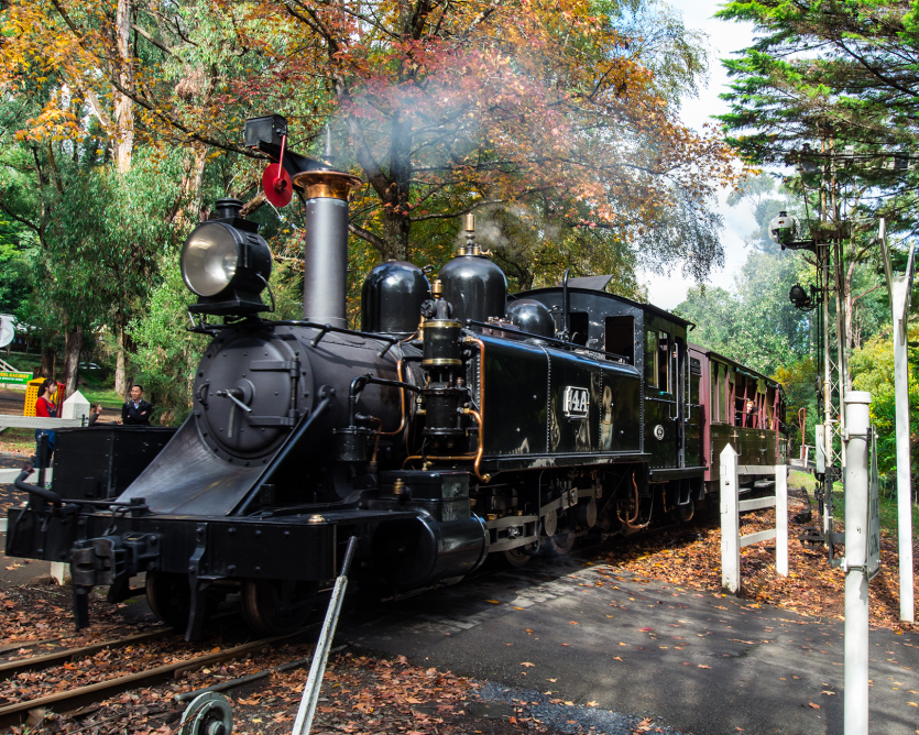 Puffing Billy, Santuário Healesville e Chocolaterie - Photo 7
