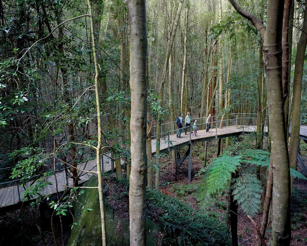 Passe de descoberta definitivo do Scenic World Blue Mountain - Photo 4