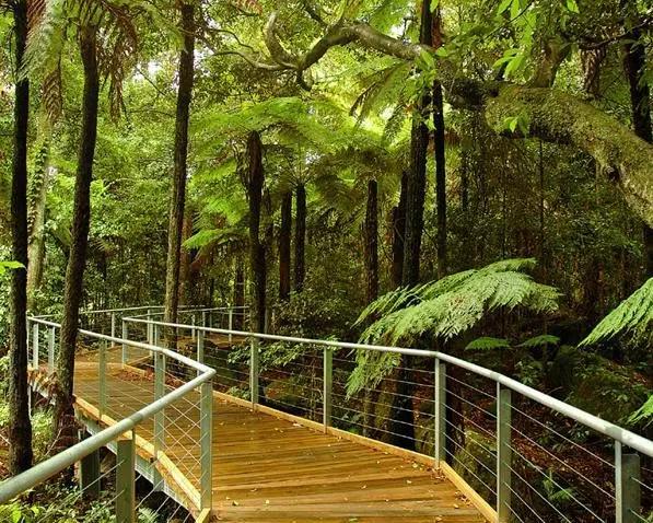 Passe de descoberta definitivo do Scenic World Blue Mountain - Photo 5