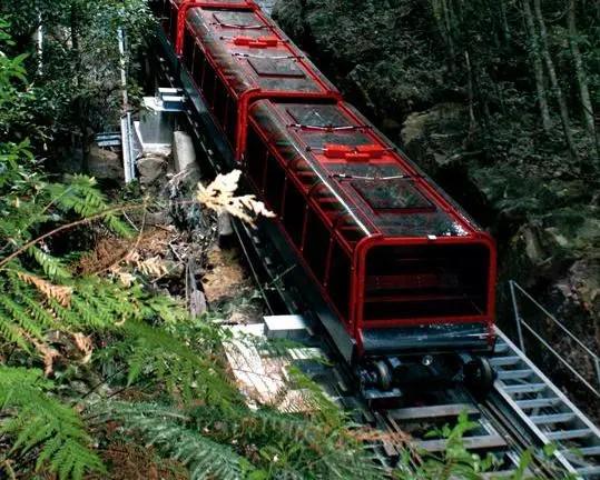 Passe de descoberta definitivo do Scenic World Blue Mountain - Photo 6