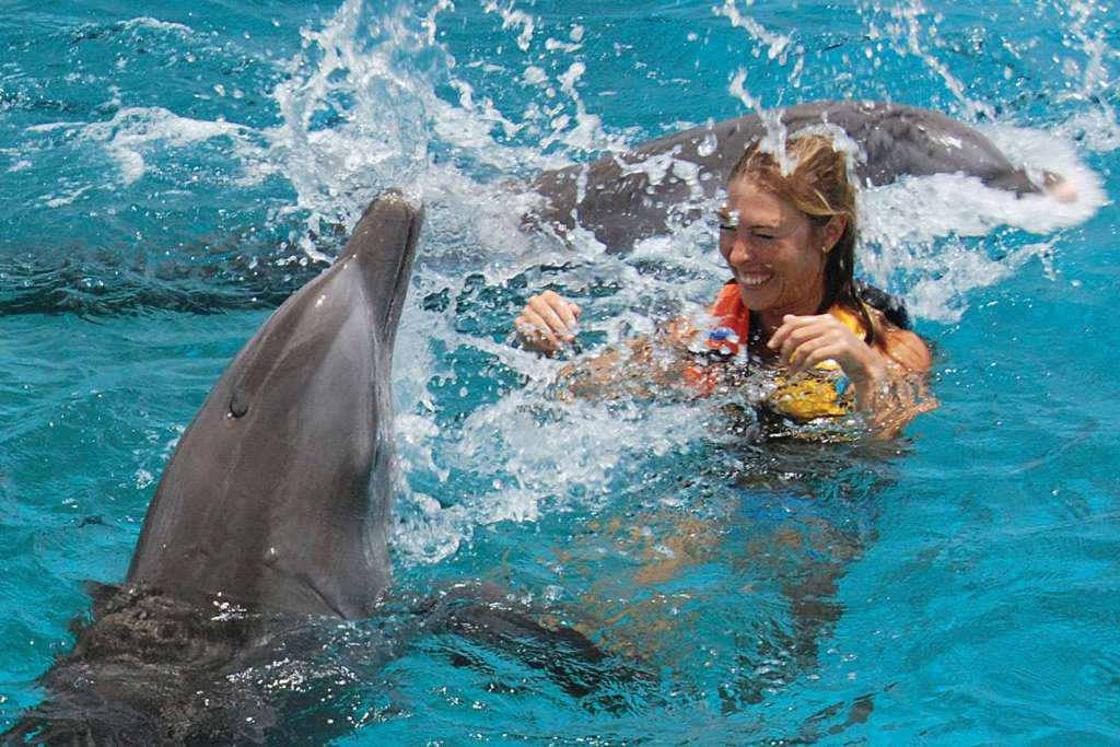 Dolphin Royal Swim Vip in Isla Mujeres - Photo 5