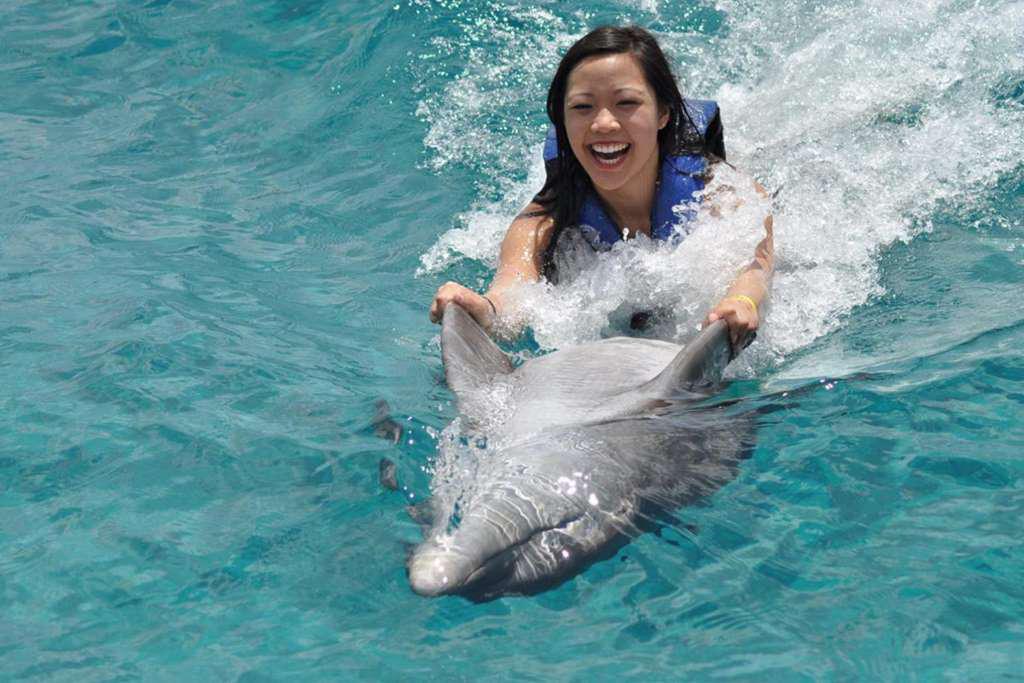 Dolphin Swim Adventure in Isla Mujeres - Photo 5