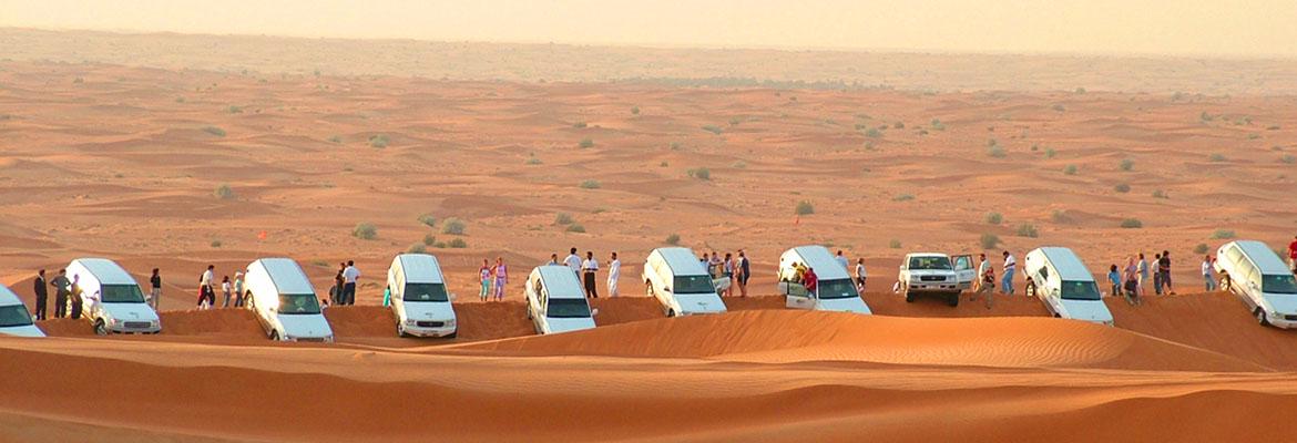 Safári no deserto com jantar - Photo 16