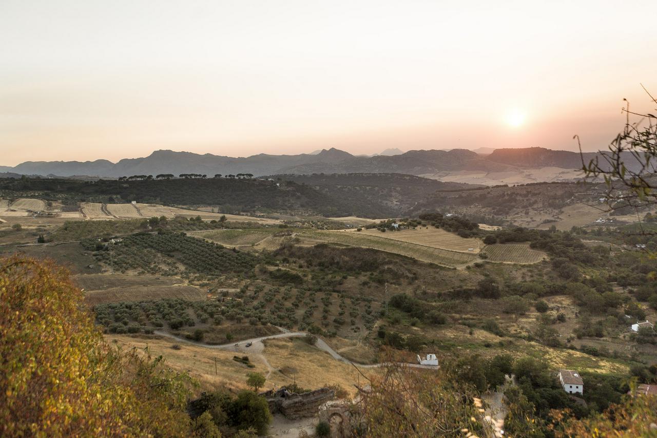 Full day in Ronda - Photo 15