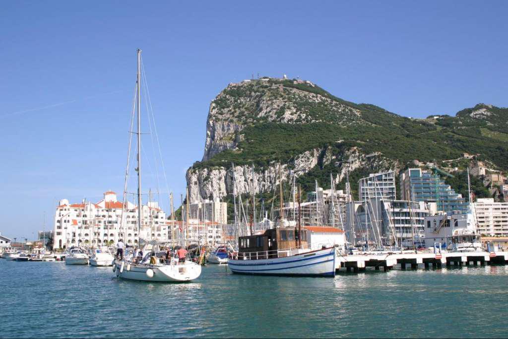 Golfinhos em Gibraltar - Photo 2
