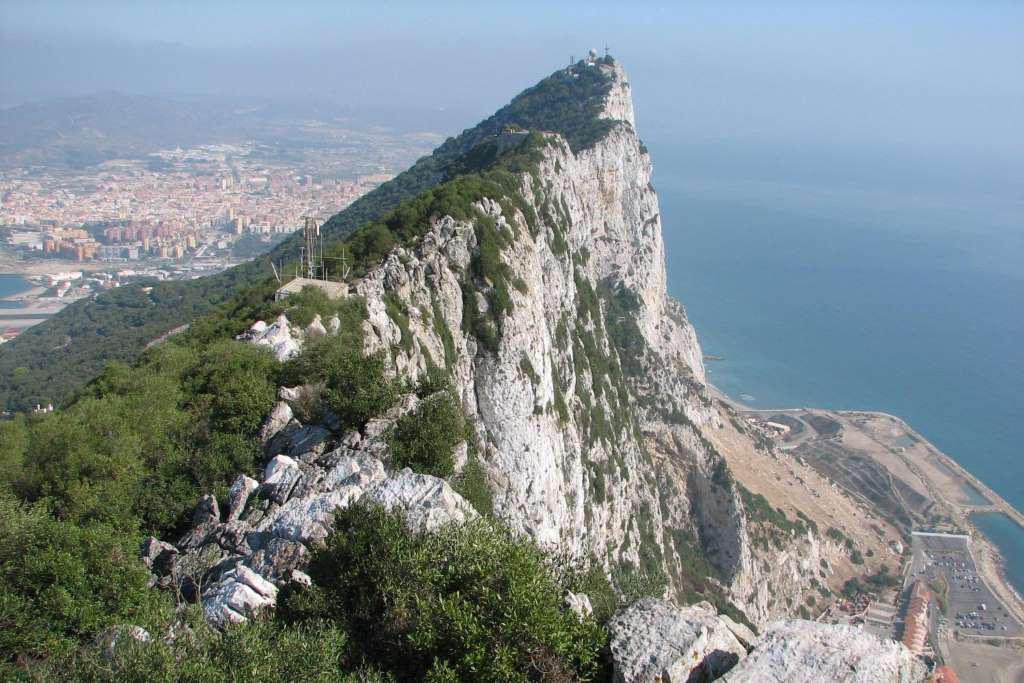 Golfinhos em Gibraltar - Photo 4