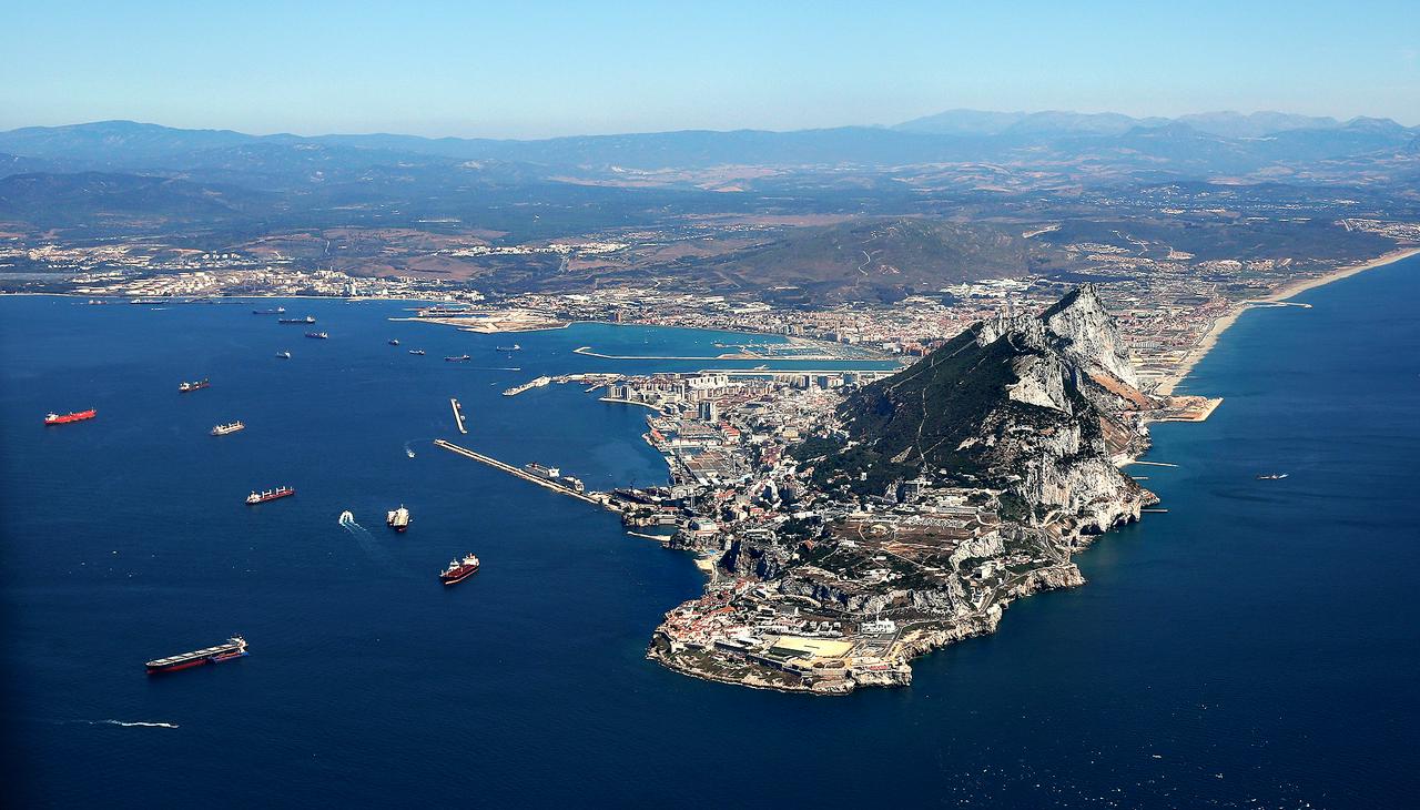 Golfinhos em Gibraltar - Photo 7