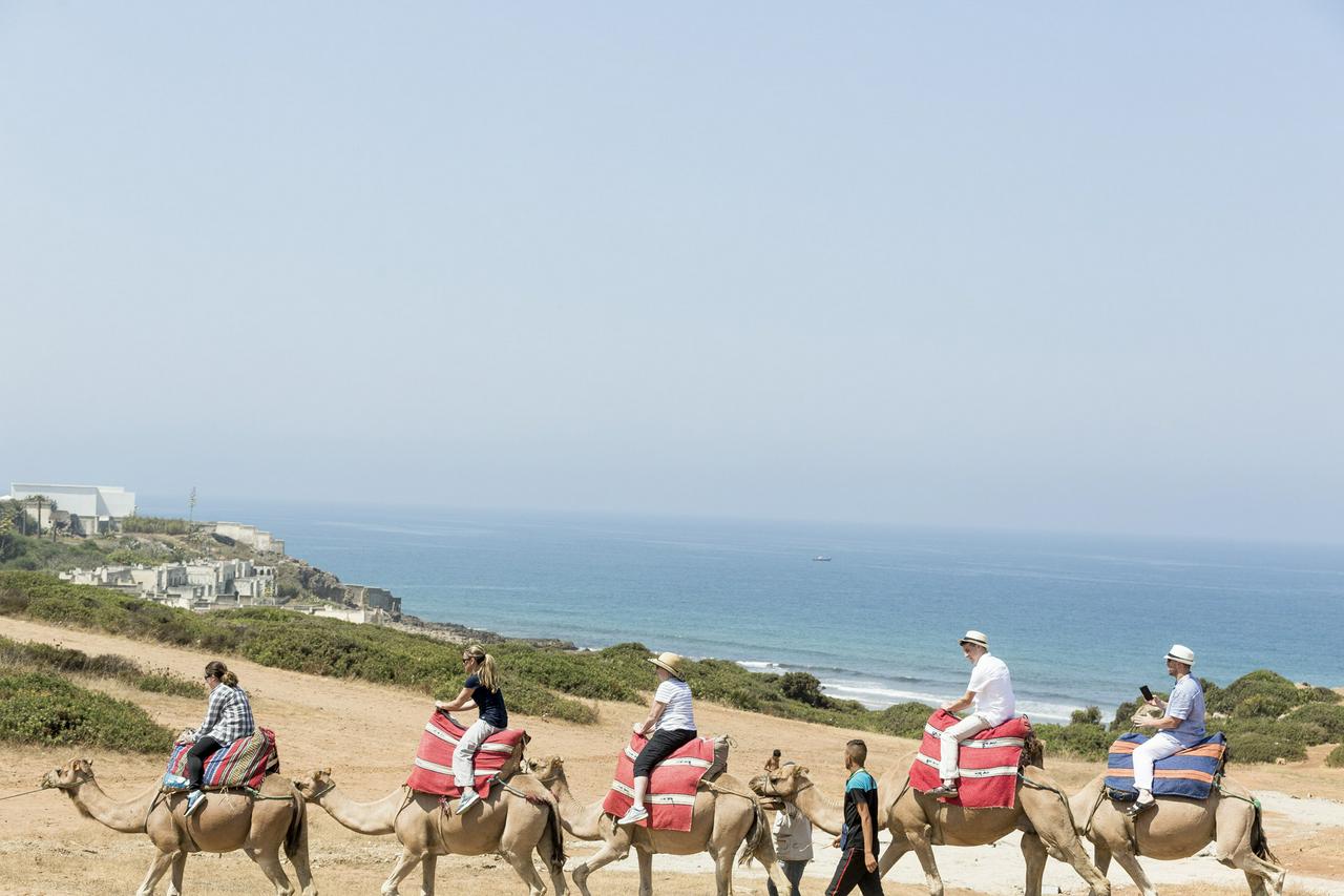Full day to Tangier by ferry - Photo 14