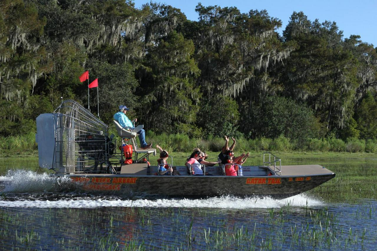 30-Minute Airboat Ride on Boggy Creek - Photo 5