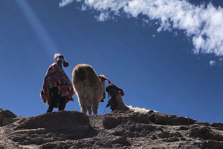 Excursão de dia inteiro à Montanha Arco-Íris de Vinicunca saindo de Cusco - Photo 7
