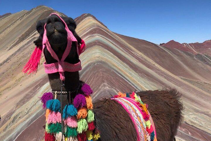Excursão de dia inteiro à Montanha Arco-Íris de Vinicunca saindo de Cusco - Photo 8
