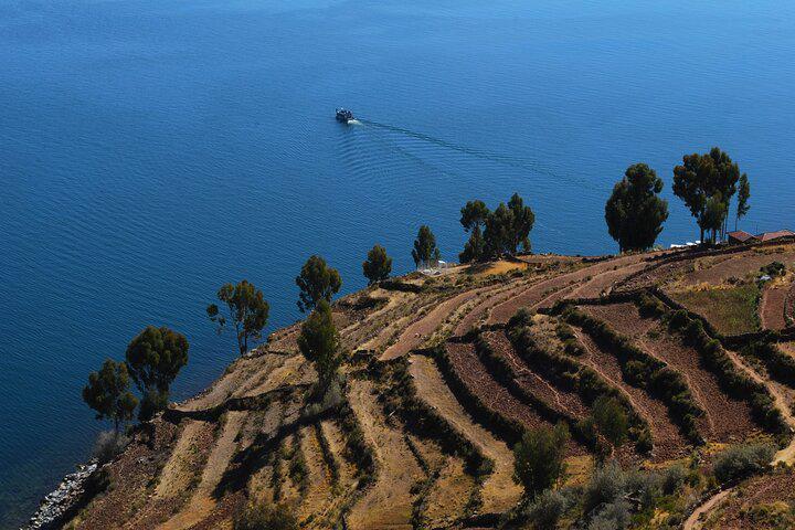 Excursão de dia inteiro ao Lago Titicaca, Ilhas Flutuantes dos Uros e Ilha da Comunidade Taquile saindo de Puno - Photo 4