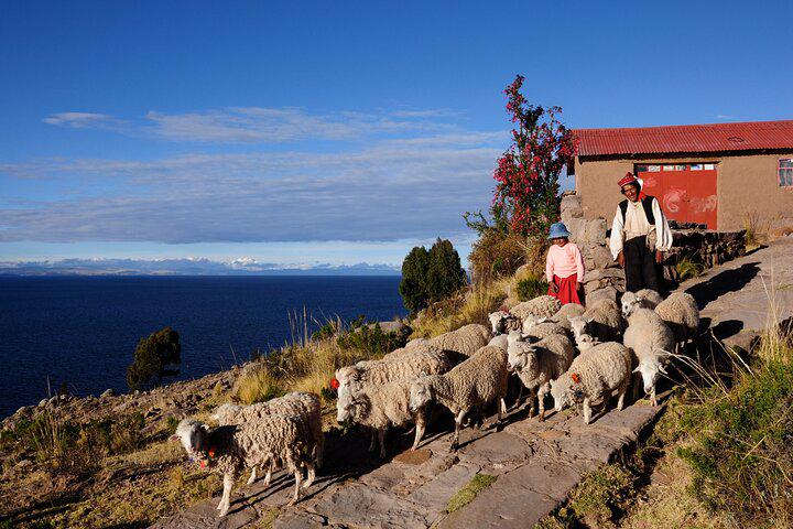 Excursão de dia inteiro ao Lago Titicaca, Ilhas Flutuantes dos Uros e Ilha da Comunidade Taquile saindo de Puno - Photo 10
