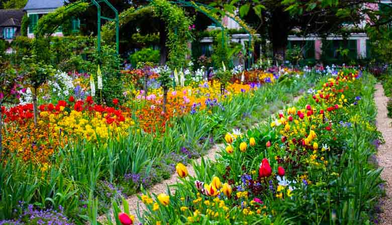 Half a free day at the Jardins de Money in Giverny at your own pace - Photo 5