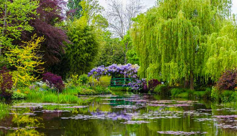 Half a free day at the Jardins de Money in Giverny at your own pace - Photo 7