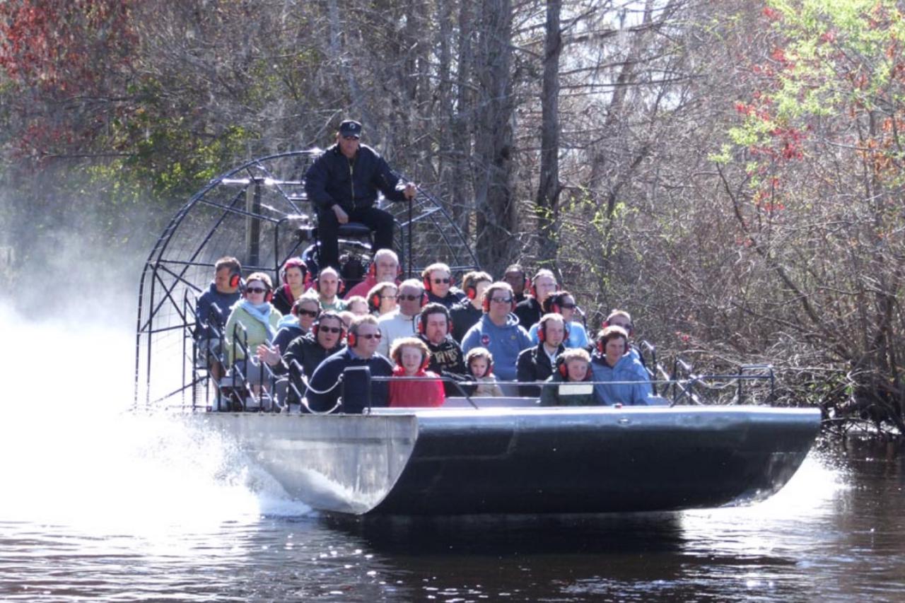 Nade com os peixes-boi, Wildlife Park e passeio de aerobarco - O original Florida Adventure Tour - Photo 6