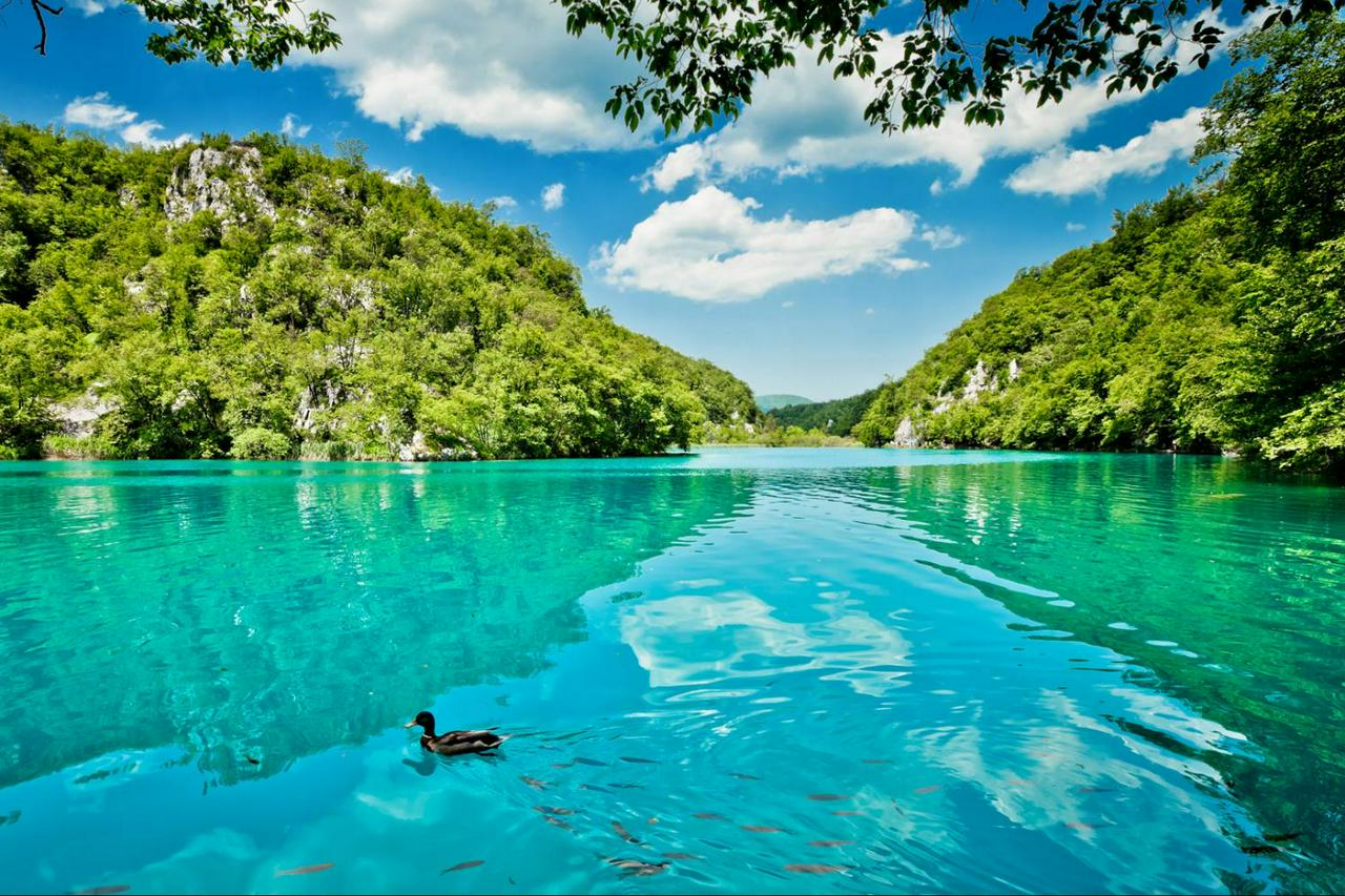 Transfer de grupo de Split para Zagreb com parada nos Lagos Plitvice com ingresso incluído - Photo 5