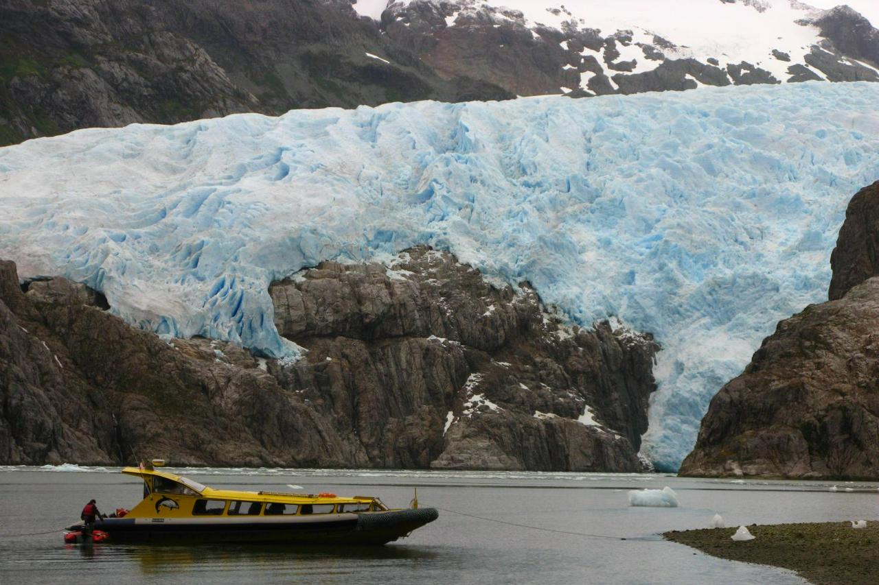 Navegação com baleias, pinguins e geleiras saindo de Punta Arenas - Photo 2