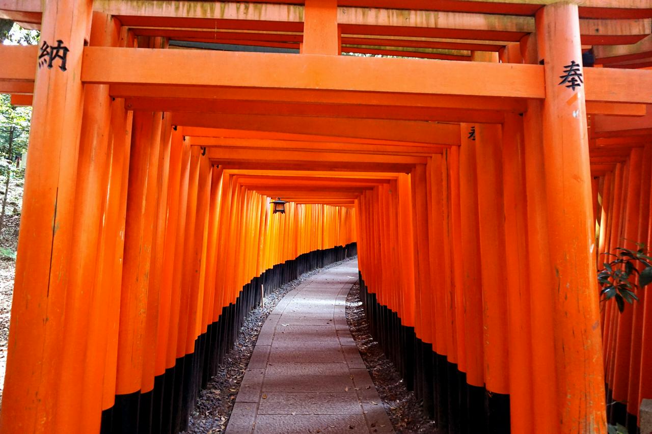 Destaques de 1 dia em Kyoto (passeio de ônibus) - Photo 12