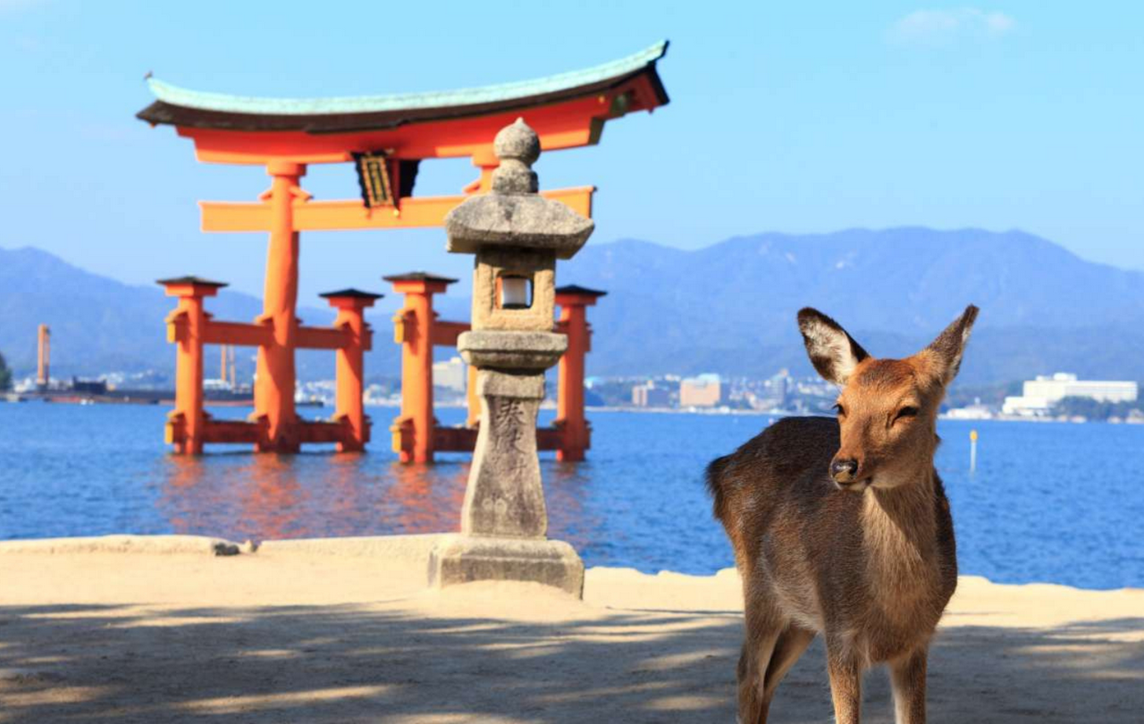 Hiroshima and Miyajima 1-Day Bus Tour from Kyoto - Photo 10