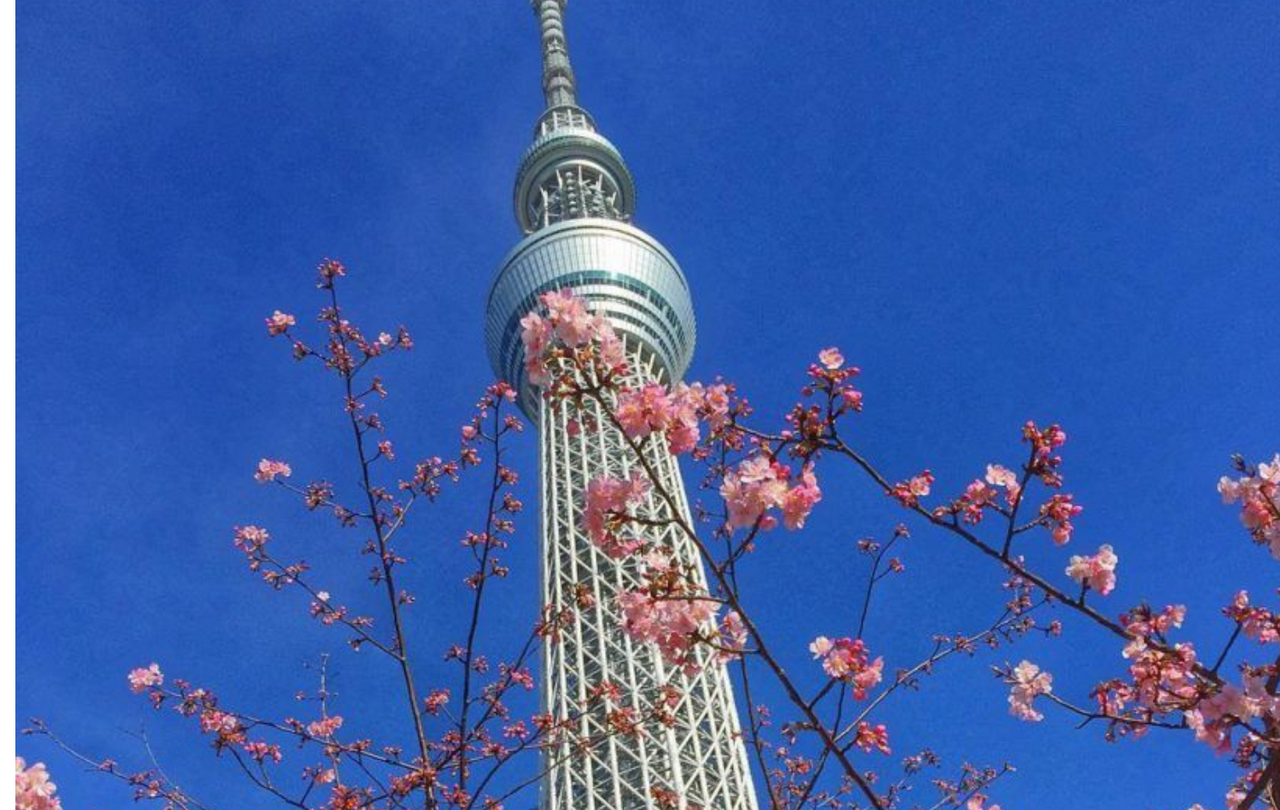 SKYTREE Enjoy Pack Bilhete de 24 horas para o metrô de Tóquio (metrô de Tóquio, metrô Toei, viagem ilimitada de 24 horas) - Photo 2