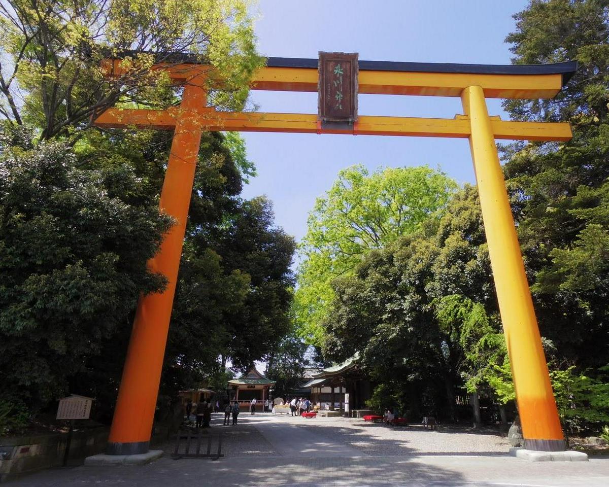 Passe de trem Seibu-Kawagoe de ida e volta - Photo 3