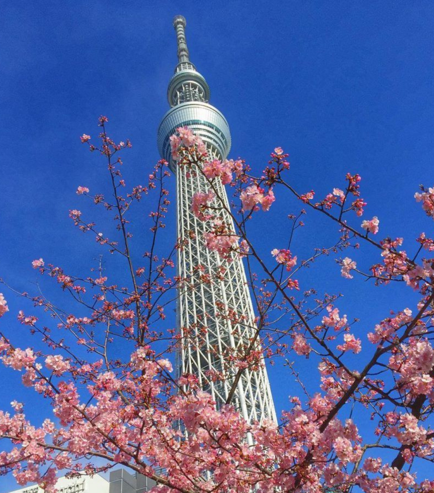 Ingresso combinado Tokyo SkyTree (Deck Tembo Galleria Tembo) Aluguel de quimono por 1 dia - Photo 9