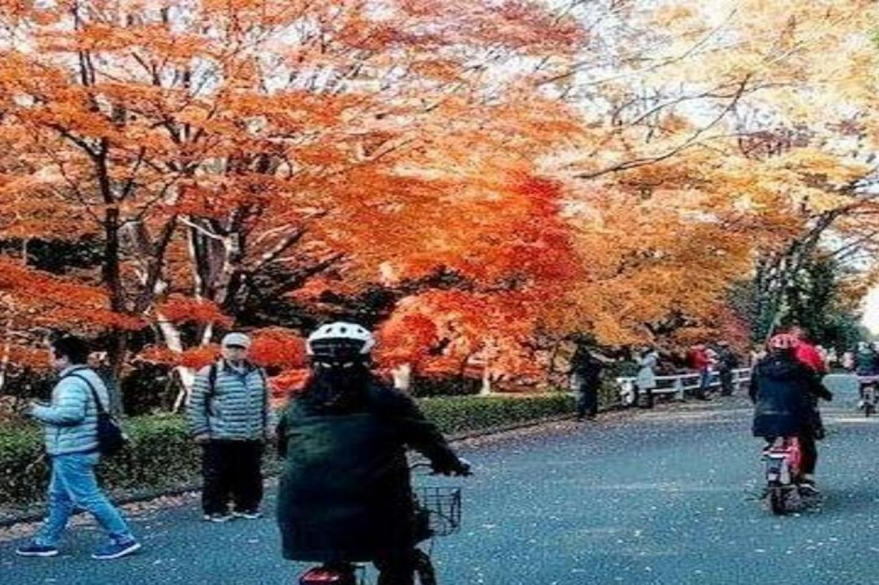 Excursão de bicicleta em Tóquio em bicicleta elétrica - Photo 2