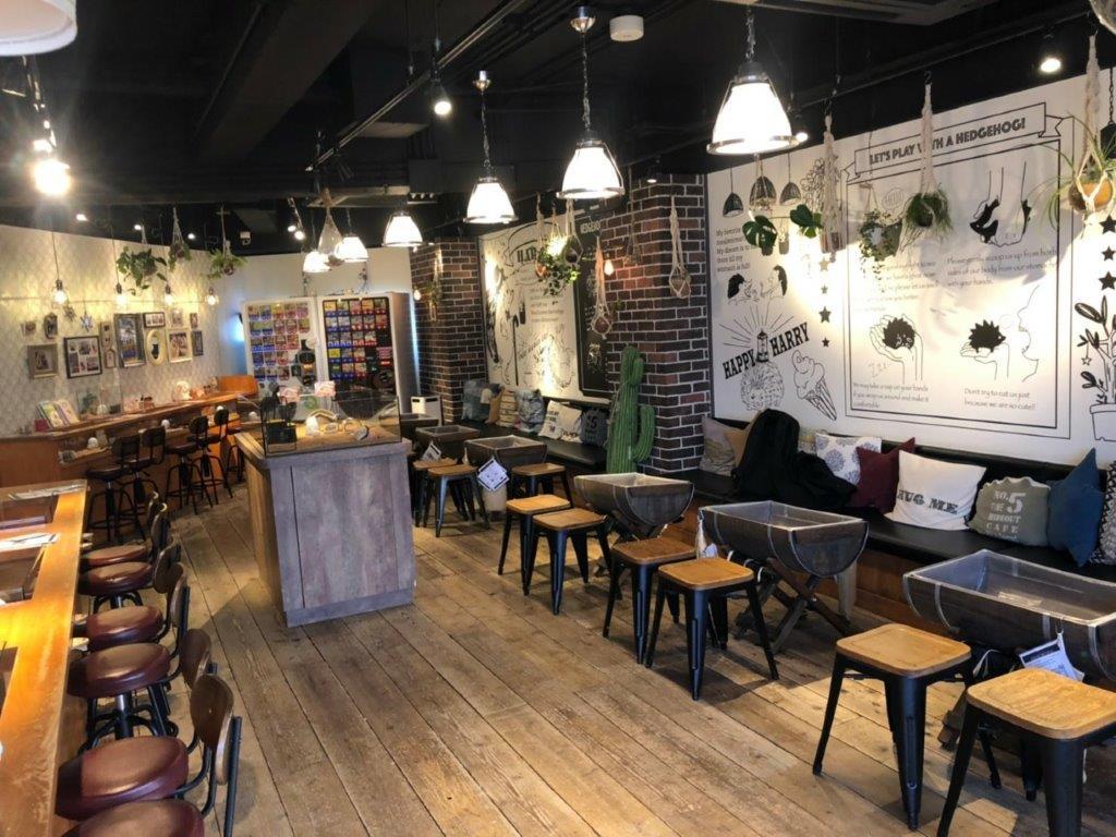 Ingresso para o Hedgehog Cafe em Harajuku - Photo 2