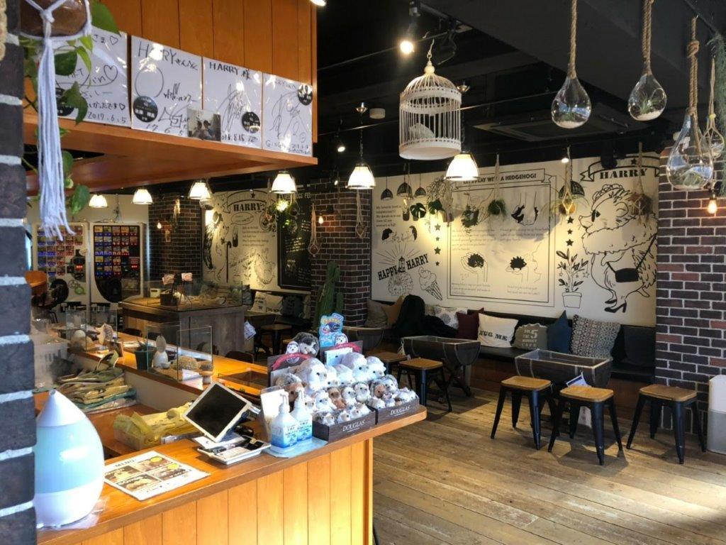 Ingresso para o Hedgehog Cafe em Harajuku - Photo 3