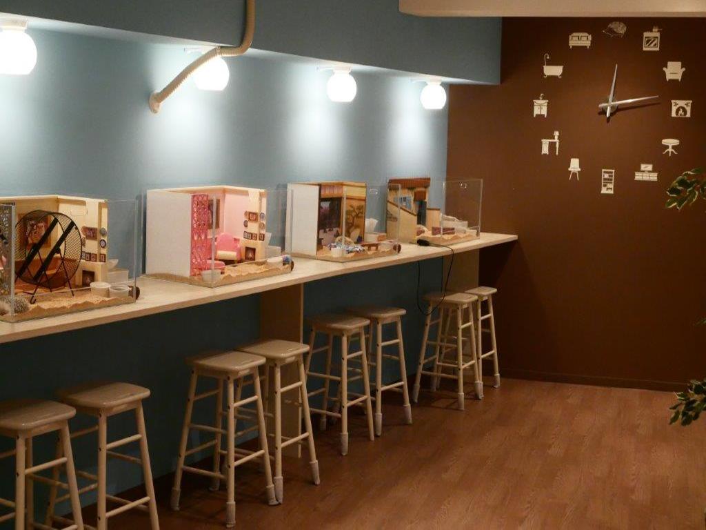 Ingresso para o Hedgehog Cafe em Harajuku - Photo 7
